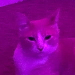 Meet your Posher, Ky